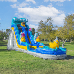 JCXD WS19MM WEB4 1768235268 19ft Rubber Ducky Water Slide Single Lane