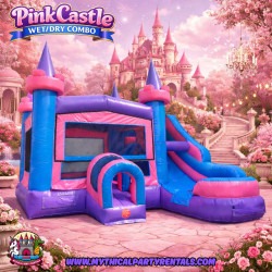 Pink Castle Single Lane Wet/Dry Combo