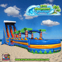 27ft Tsunami Plunge Water Slide Dual Lane